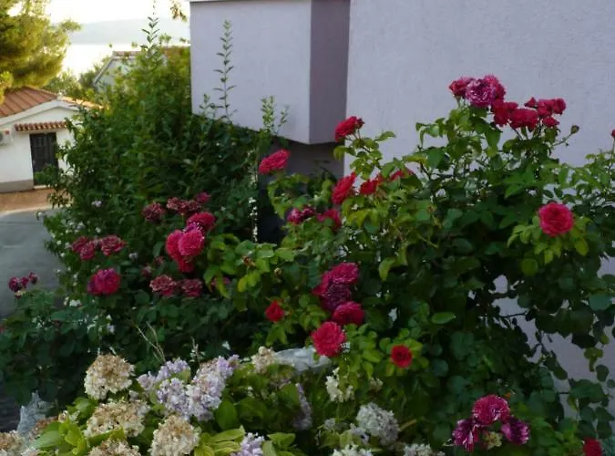 Ferdi * トロギール